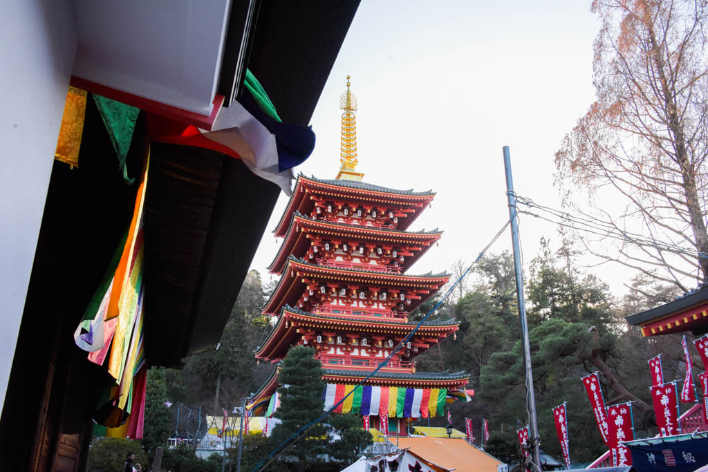 初詣、高幡不動の画像
五重塔の写真